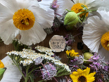 Load image into Gallery viewer, Ojai Solid Fragrance