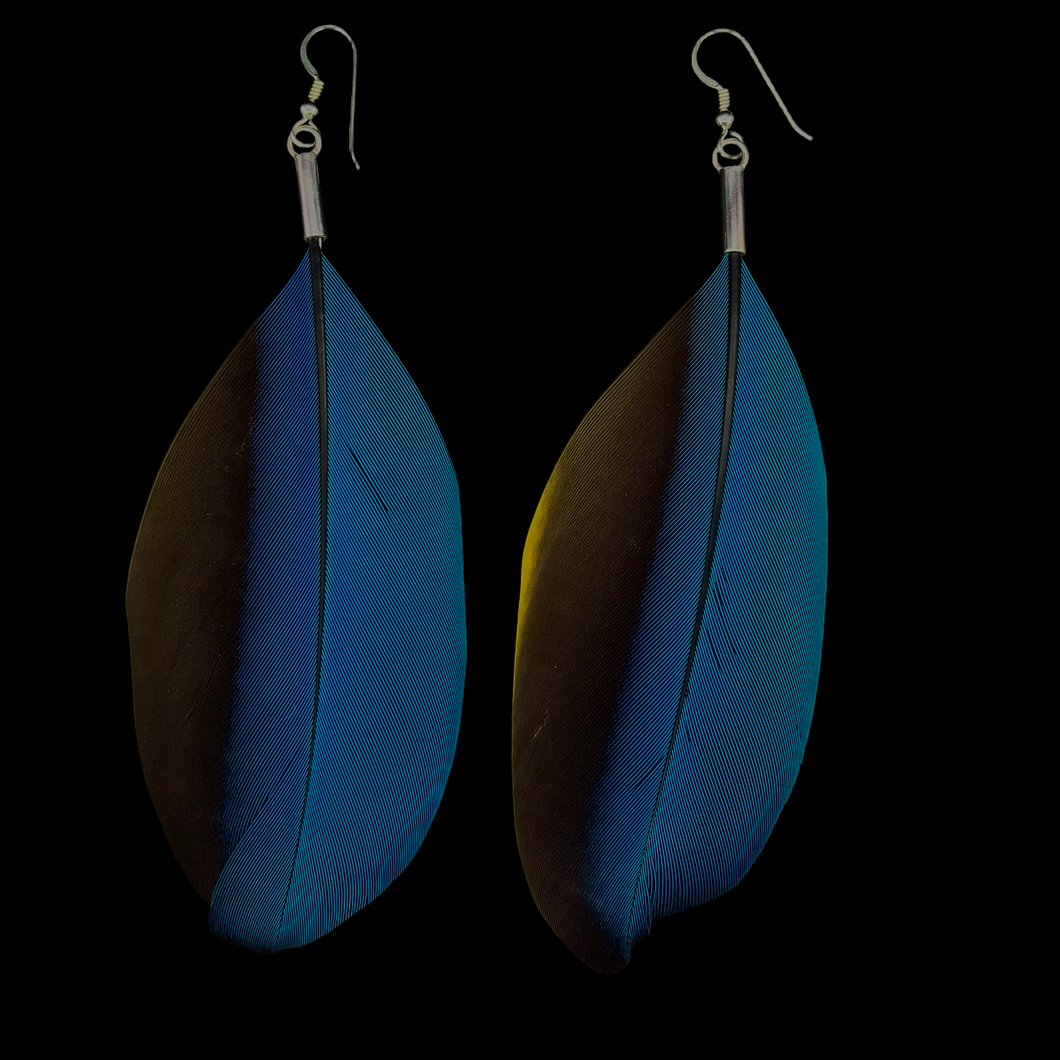 Macaw Feather Earrings