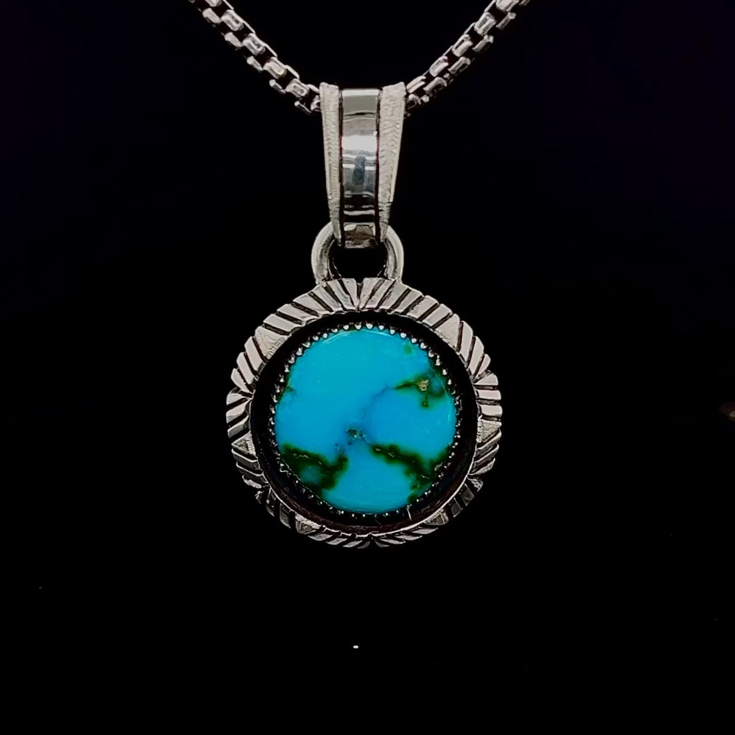 Turtle Island Pendant